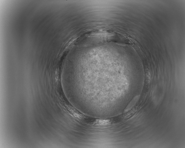 X0000052570665200507152253