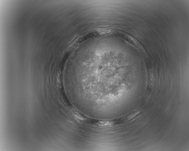 X0000052570667200507152253