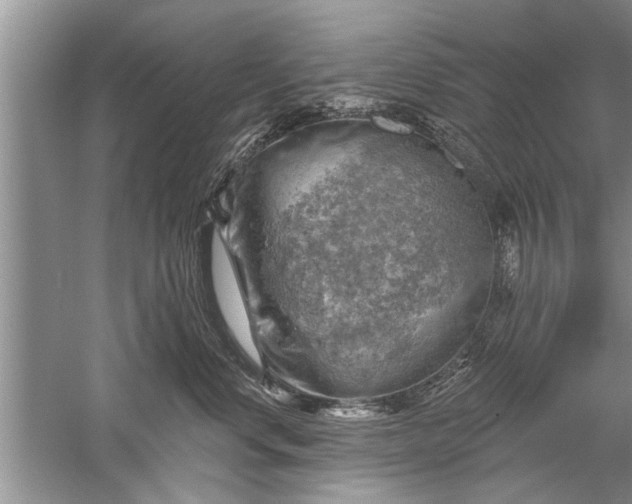 X0000052570668200507152253