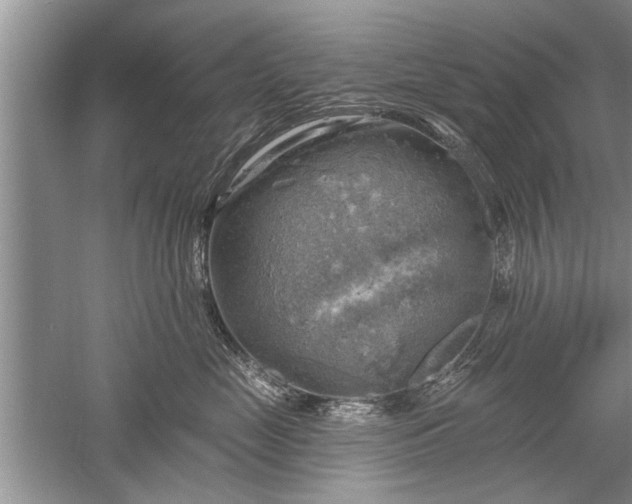 X0000052570669200507152254