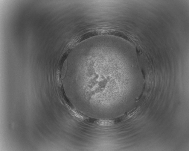 X0000052570670200507152254