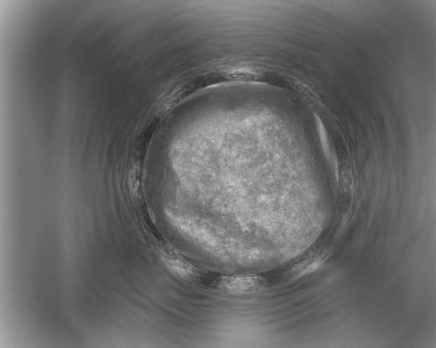 X0000052570671200507152254