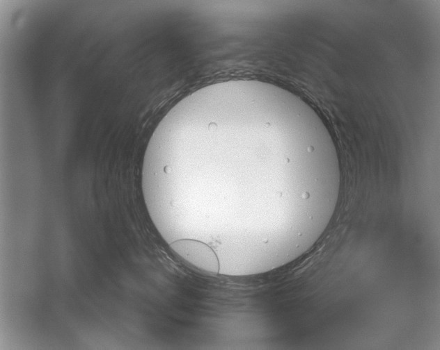 X0000052570672200507152254