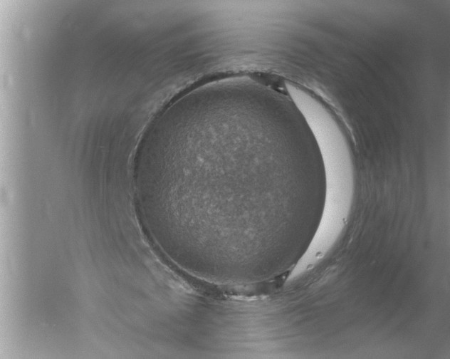 X0000052570673200507152253