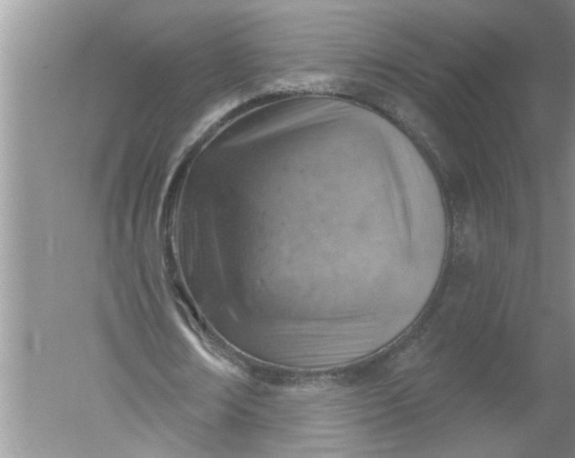 X0000052570674200507152253