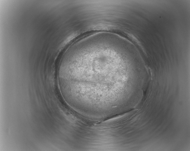 X0000052570675200507152253