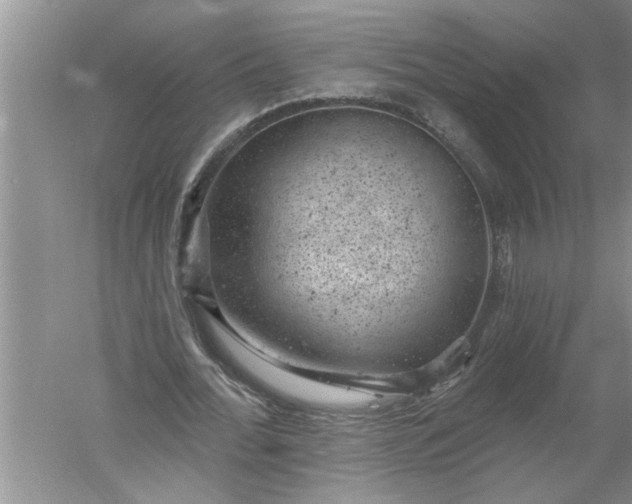 X0000052570676200507152253