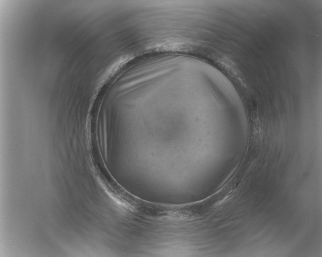 X0000052570678200507152253