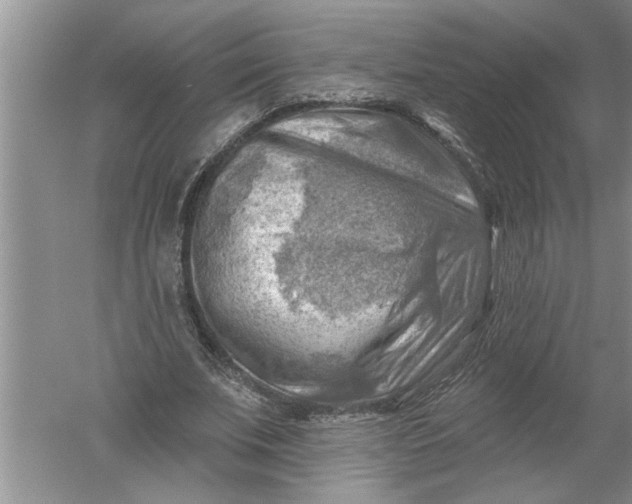 X0000052570679200507152253