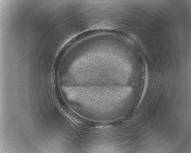 X0000052570680200507152253