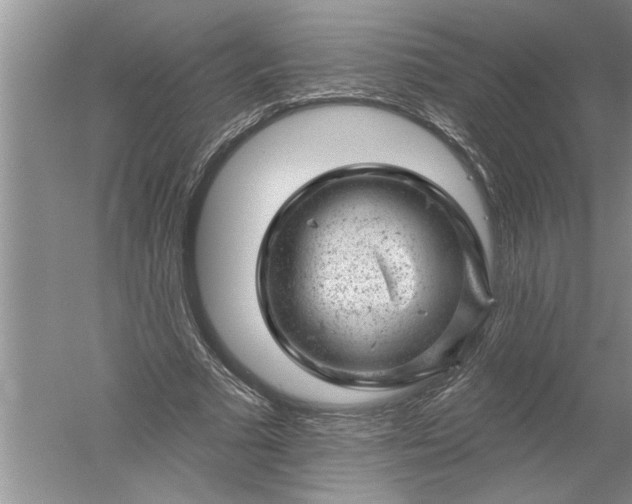 X0000052570681200507152253