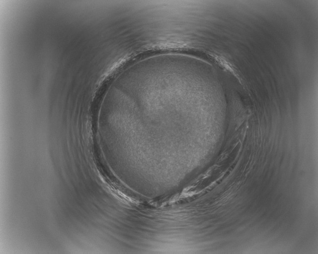 X0000052570684200507152253