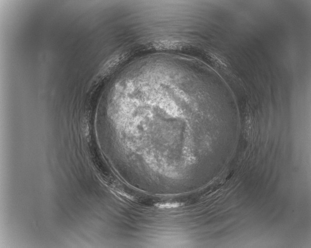 X0000052570687200507152253