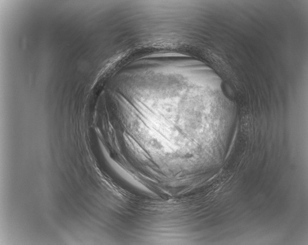 X0000052570688200507152252