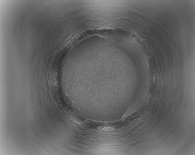 X0000052570689200507152252