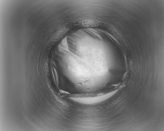 X0000052570690200507152252