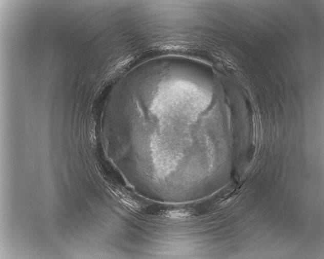 X0000052570692200507152252