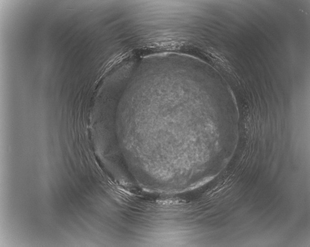 X0000052570693200507152252