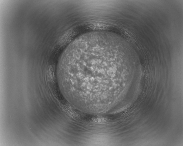 X0000052570695200507152252