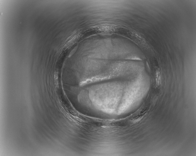 X0000052570696200507152252