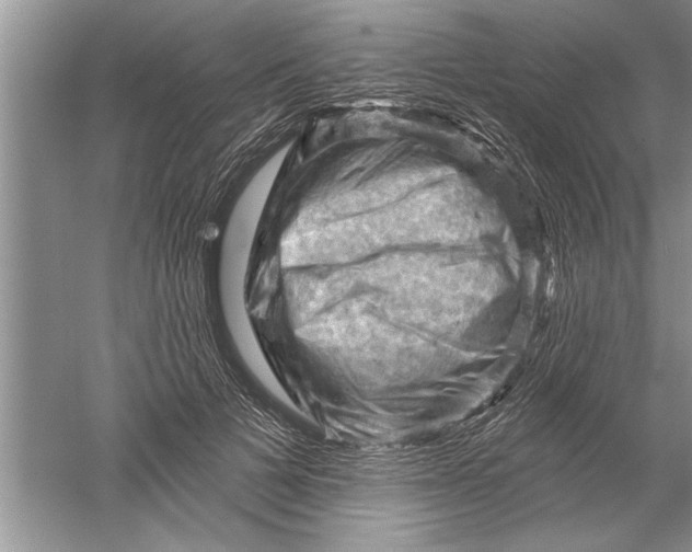 X0000052570697200507152252