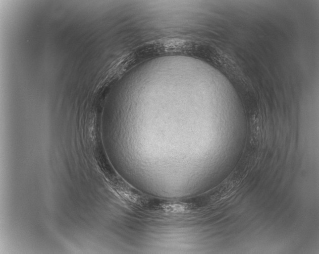 X0000052570698200507152252