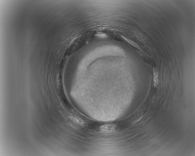 X0000052570700200507152252