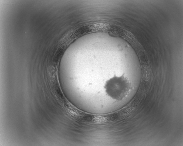 X0000052570701200507152252