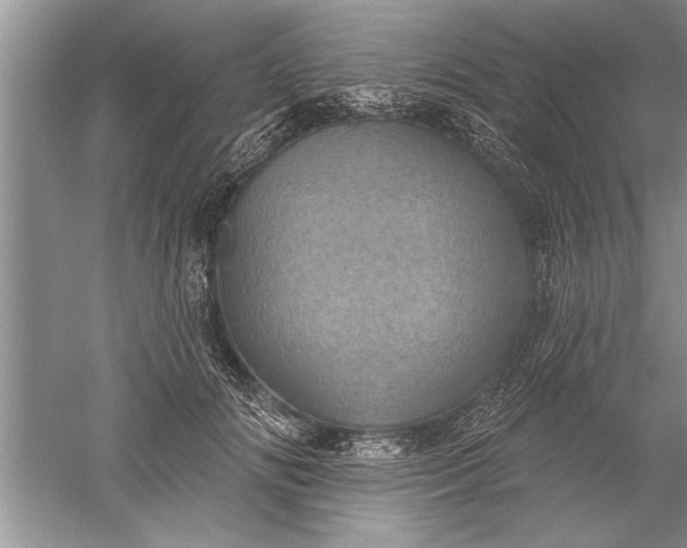 X0000052570702200507152252