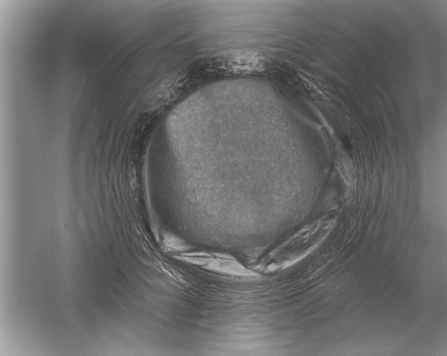 X0000052570704200507152252