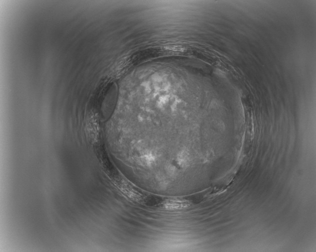 X0000052570707200507152252