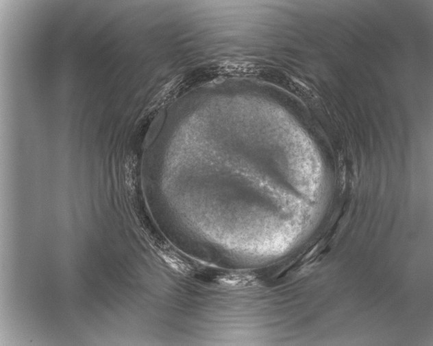 X0000052570712200507152252