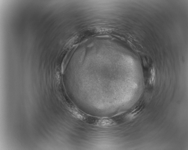 X0000052570716200507152252