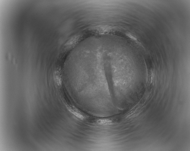 X0000052570719200507152252