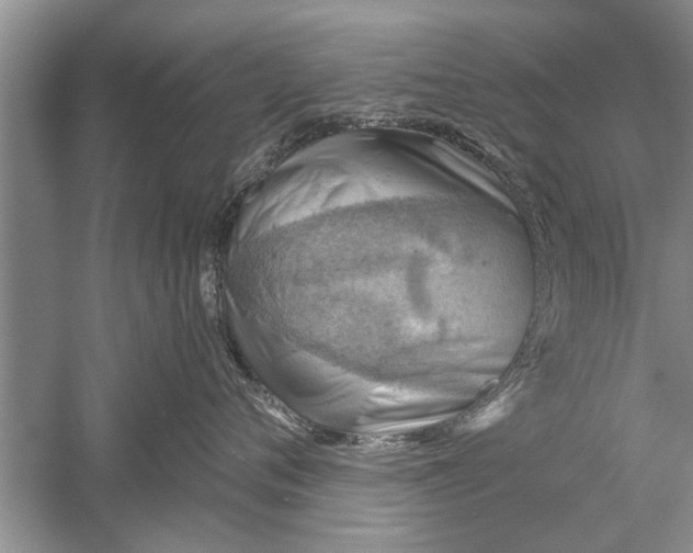 X0000052570720200507152252