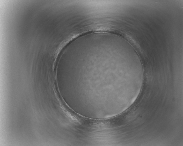 X0000052570721200507152251