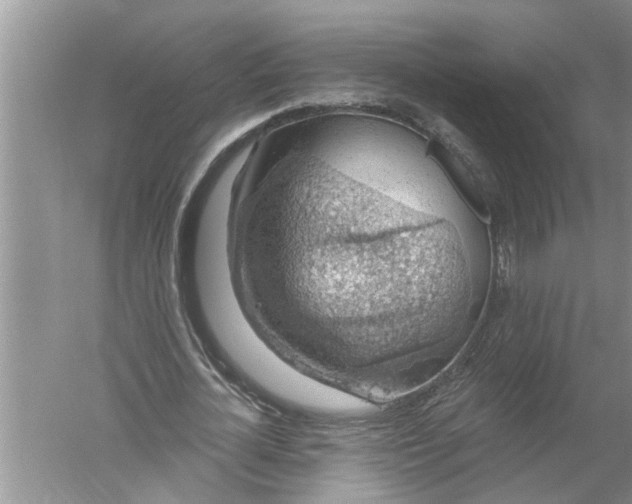 X0000052570724200507152251