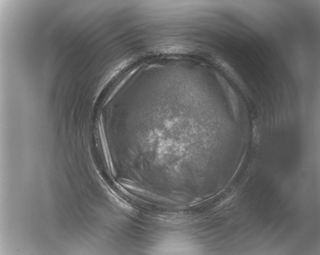 X0000052570725200507152251