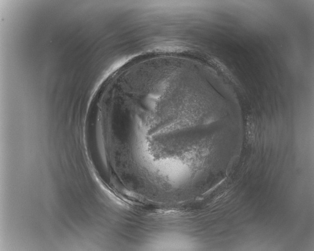 X0000052570726200507152251