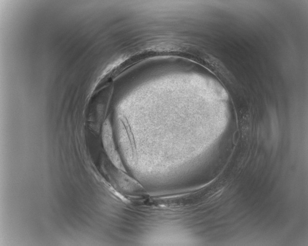 X0000052570727200507152251