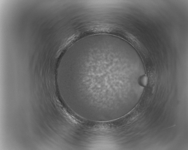 X0000052570729200507152251