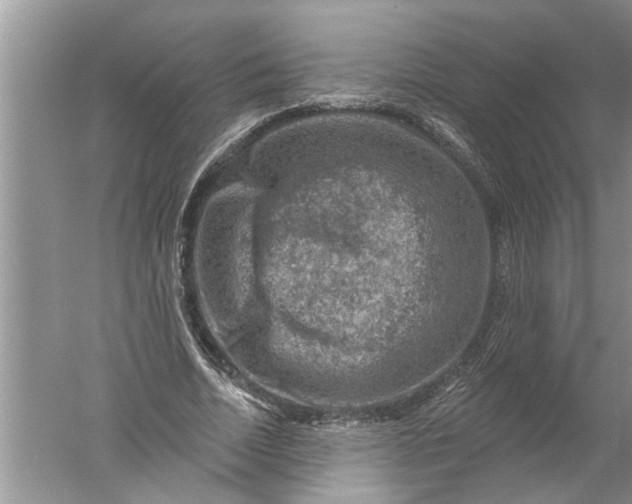 X0000052570730200507152251