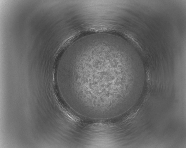 X0000052570733200507152251