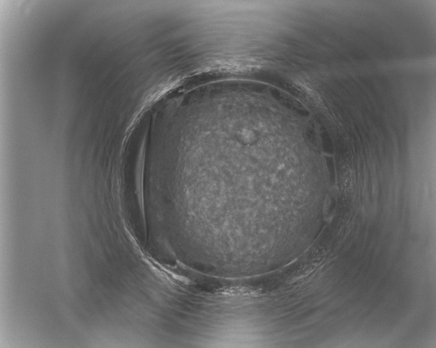 X0000052570736200507152251