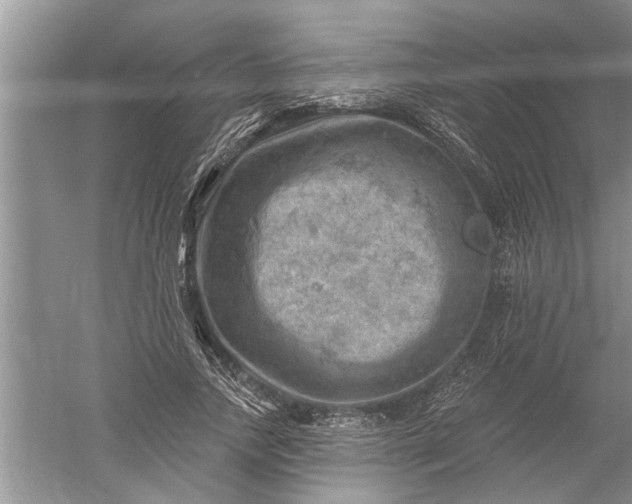 X0000052570738200507152251