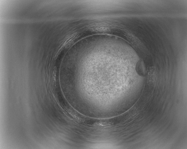 X0000052570739200507152251