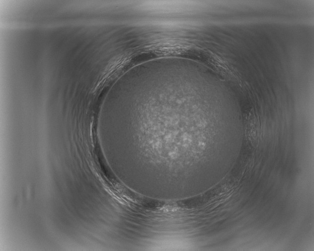 X0000052570742200507152251