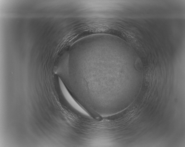 X0000052570743200507152251