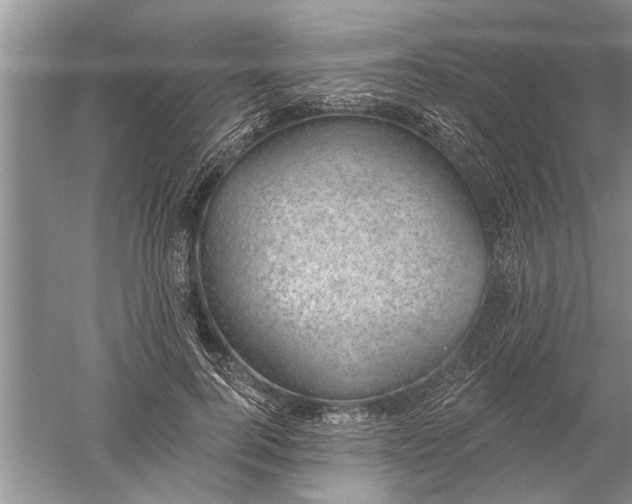 X0000052570744200507152252