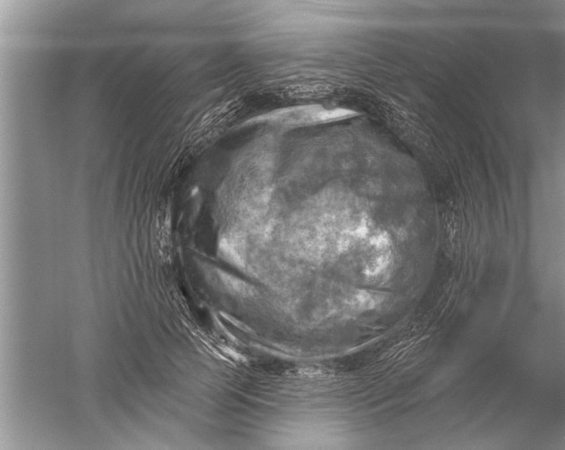 X0000052570745200507152252